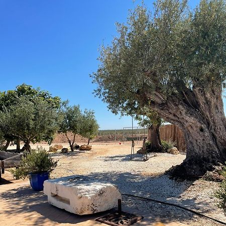 La Casa Del Olivo Villa Écija Eksteriør billede