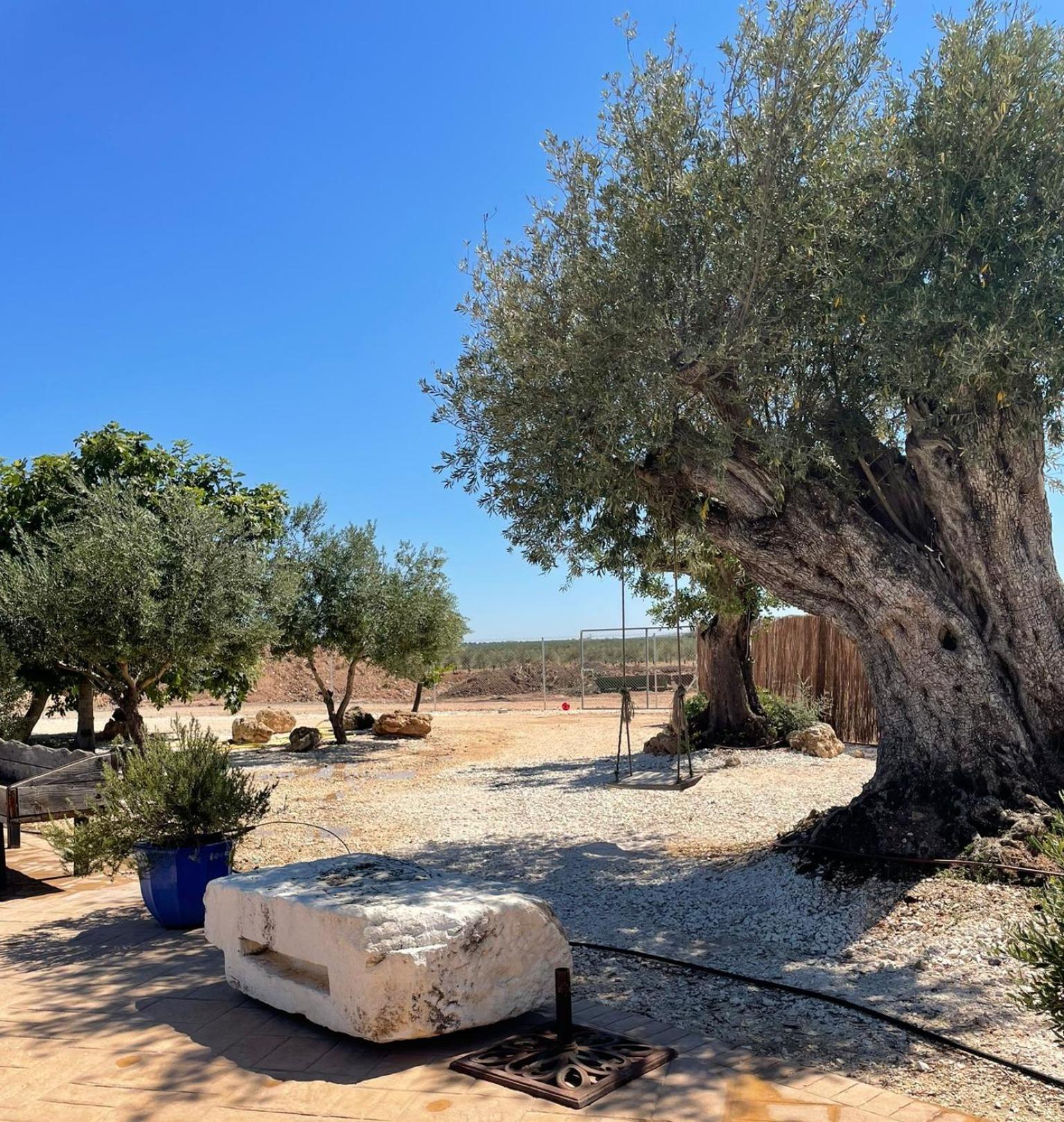 La Casa Del Olivo Villa Écija Eksteriør billede